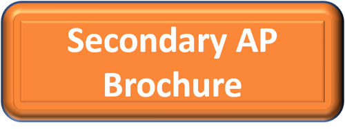 Orange rectangle with white text that reads secondary AP brochure