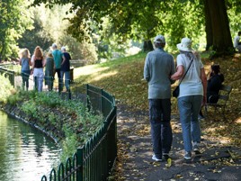 picture of people walking in a park